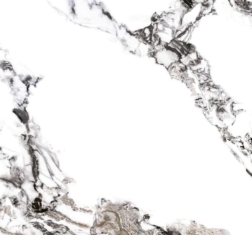 White ceramic surface with dramatic ink-dark veining.
